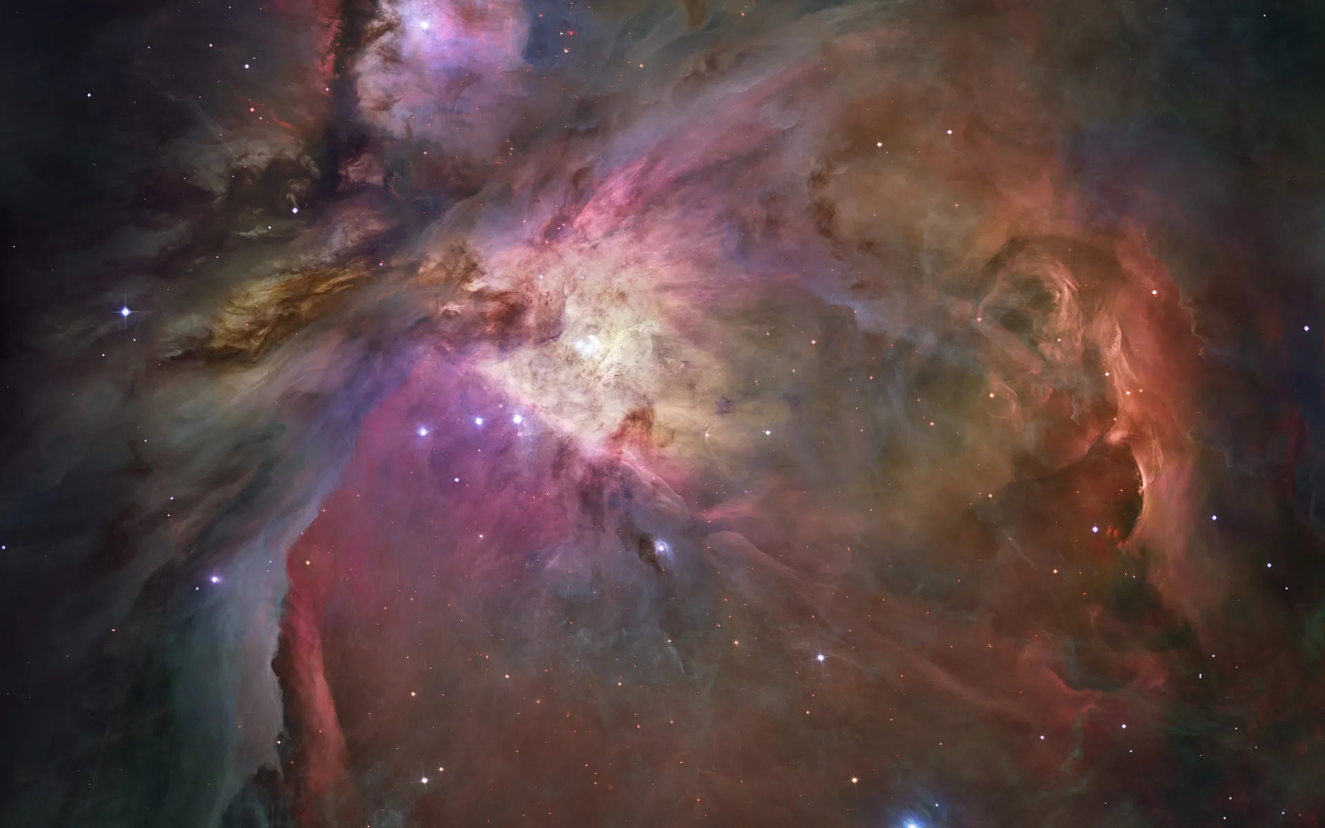 Orion